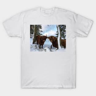 Scottish Highland Cattle Cow and Calf 1619 T-Shirt